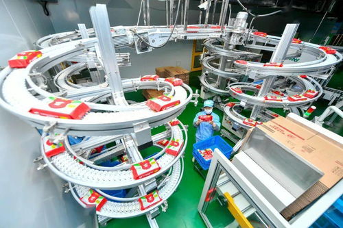 聚焦中小企业纾困帮扶 优化财税法治环境与技术开发双轮驱动